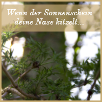 Leandra Blütensturm